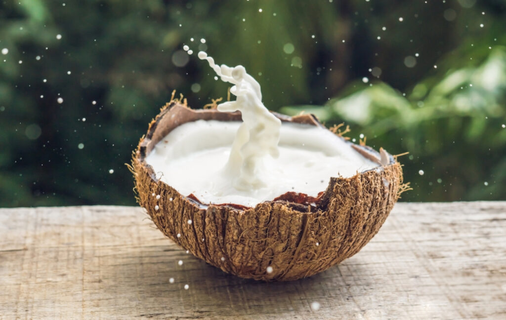 Shredded Coconut – Ana Baiana